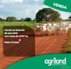 Fazenda em Cocalinho - MT