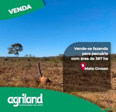 Fazenda em Bom Jesus do Araguaia - MT