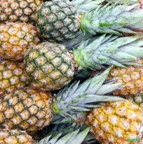 COMPRO ABACAXI Imagem COMPRO ABACAXI