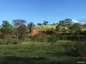 Terreno Rural 4,5 ha em Capim Branco - MG