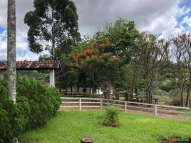 Vendo Fazenda H3O 130 Hectares