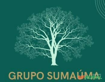 Prestação de serviços para investir, contratar seguros diversos e até mesmo programar sua viagem Imagem Prestação de serviços para investir, contratar seguros diversos e até mesmo programar sua viagem