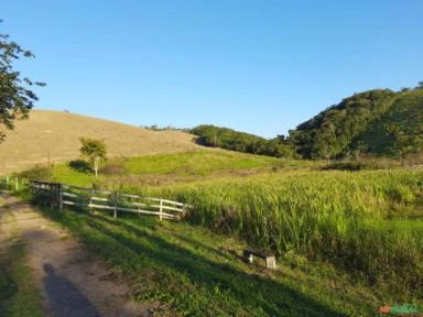 Fazenda a venda