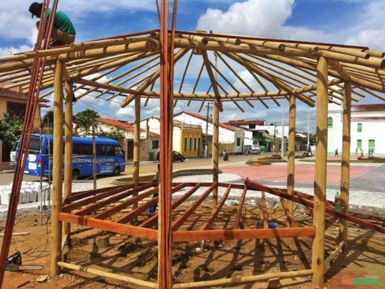 Eucaliptos tratados Imagem Eucaliptos tratados