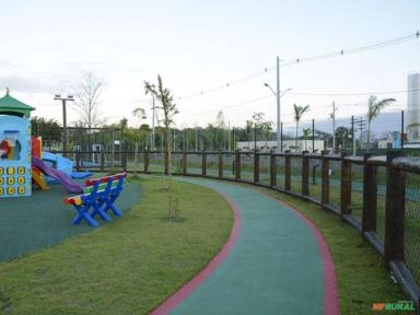 Imagem Eucaliptos tratados Imagem Eucaliptos tratados