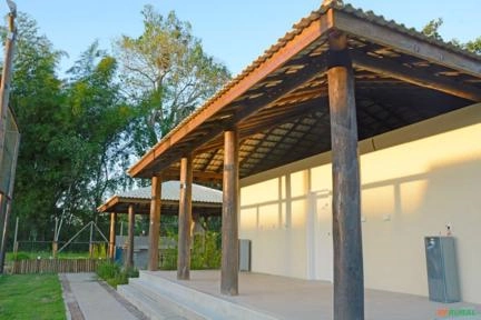 Imagem Eucaliptos tratados Imagem Eucaliptos tratados