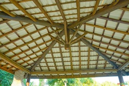 Imagem Eucaliptos tratados Imagem Eucaliptos tratados