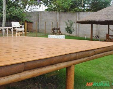 Imagem Eucaliptos tratados Imagem Eucaliptos tratados