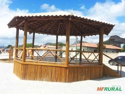 Imagem Eucaliptos tratados Imagem Eucaliptos tratados