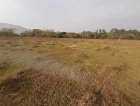 Terreno 15 hectares
