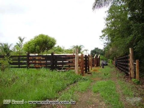 Curral para gado bovino completo para 150 Animais