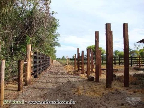 Curral para gado bovino completo para 150 Animais