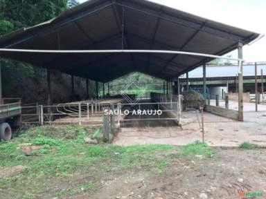 Fazenda leiteira, toda equipada, Localizado em Vassouras / RJ