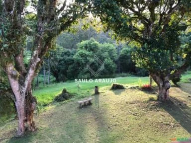 Fazenda leiteira, toda equipada, Localizado em Vassouras / RJ