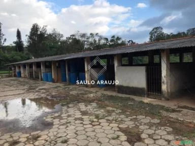 Fazenda leiteira, toda equipada, Localizado em Vassouras / RJ