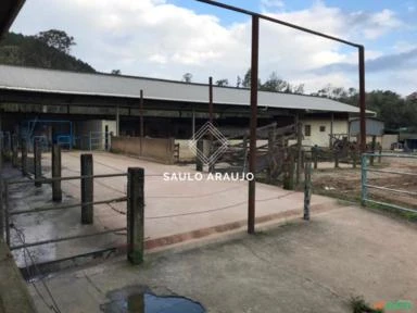 Fazenda leiteira, toda equipada, Localizado em Vassouras / RJ