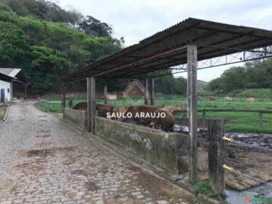 Fazenda leiteira, toda equipada, Localizado em Vassouras / RJ