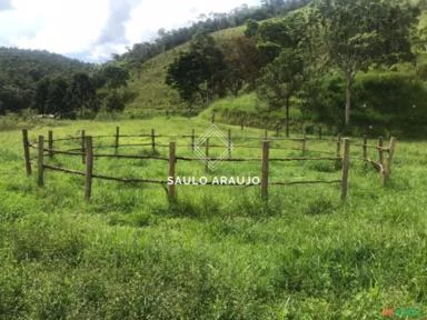 Fazenda Haras em Petrópolis, Serra Fluminense