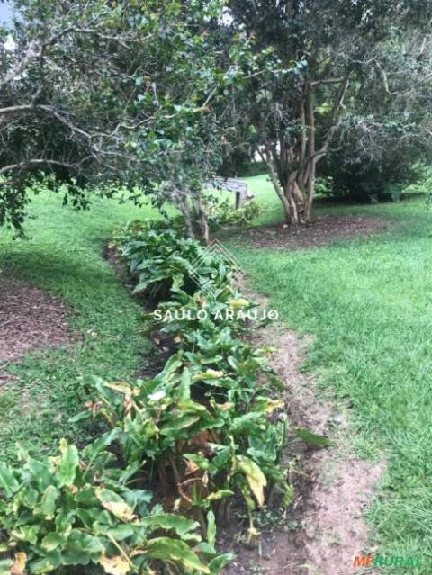 Fazenda Haras em Petrópolis, Serra Fluminense