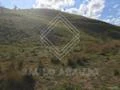 Fazenda para gado de corte em Rio das flores