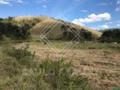 Fazenda para gado de corte em Rio das flores