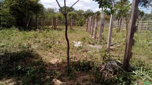 Fazenda 300 ha - Corrente do Piauí - PI