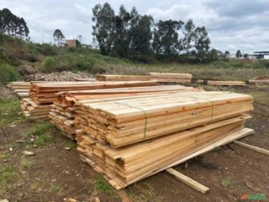 Madeira serrada de Eucalipto Dunnis Imagem Madeira serrada de Eucalipto Dunnis