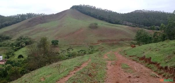 Fazenda São Jorge - Área Reserva legal com 20% Mata Nativa.