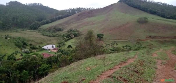 Fazenda São Jorge - Área Reserva legal com 20% Mata Nativa.