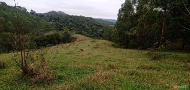 Fazenda São Jorge - Área Reserva legal com 20% Mata Nativa.