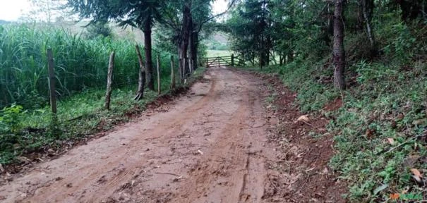 Fazenda São Jorge - Área Reserva legal com 20% Mata Nativa.