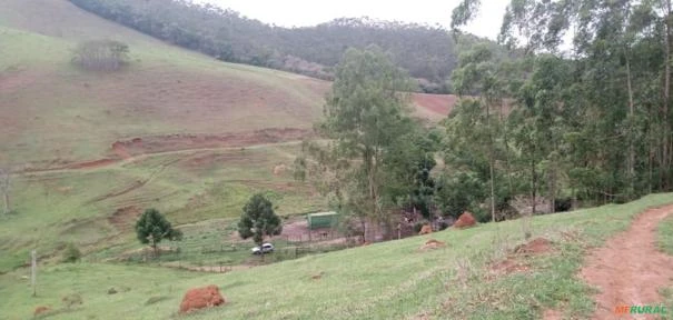 Fazenda São Jorge - Área Reserva legal com 20% Mata Nativa.