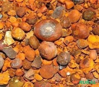 Compro pedra de fél bovina. Imagem Compro pedra de fél bovina.