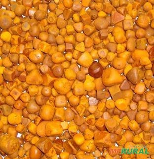 Imagem Compro pedra de fél bovina. Imagem Compro pedra de fél bovina.