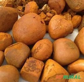 Imagem Compro pedra de fél bovina. Imagem Compro pedra de fél bovina.