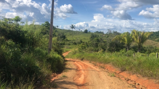 Imagem Investidores para extração de ouro Imagem Investidores para extração de ouro