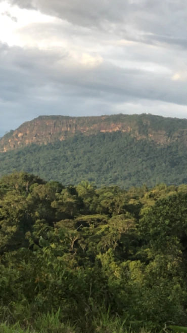 Imagem Investidores para extração de ouro Imagem Investidores para extração de ouro