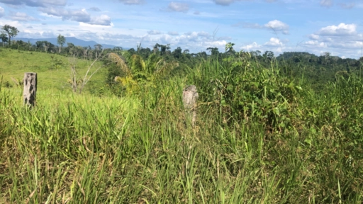 Imagem Investidores para extração de ouro Imagem Investidores para extração de ouro