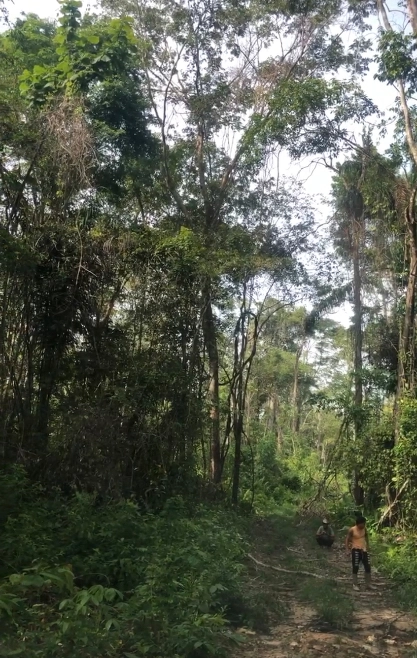 Imagem Investidores para extração de ouro Imagem Investidores para extração de ouro