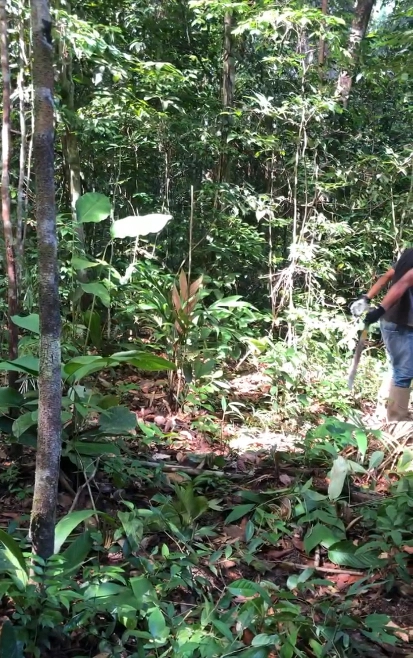 Imagem Investidores para extração de ouro Imagem Investidores para extração de ouro