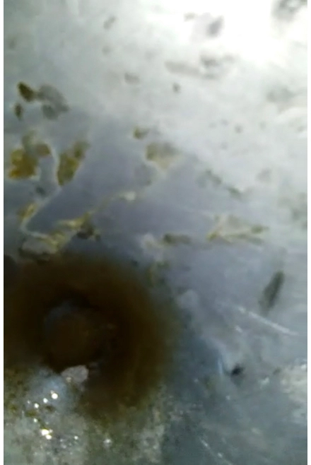 Imagem Investidores para extração de ouro Imagem Investidores para extração de ouro