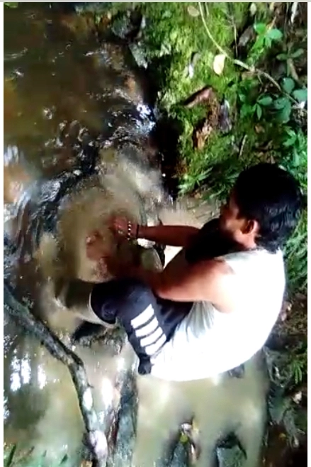 Imagem Investidores para extração de ouro Imagem Investidores para extração de ouro