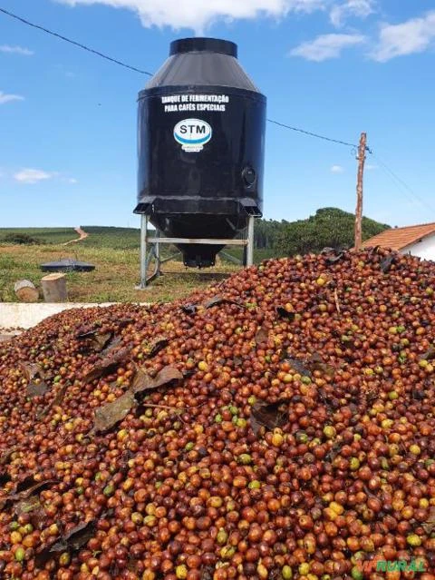 Tanque de fermentação para cafes especiais