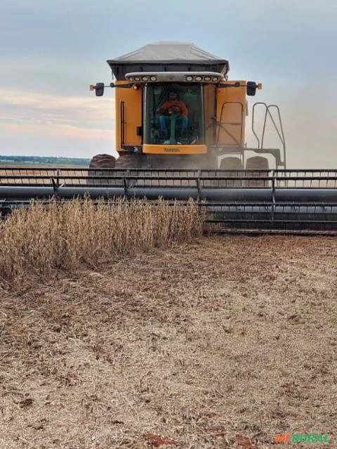 Serviço de colheitas Imagem Serviço de colheitas