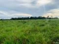 Fazenda à venda as margens do rio Araguaia sul do Pará