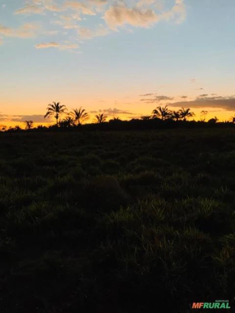 Fazenda à venda as margens do rio Araguaia sul do Pará