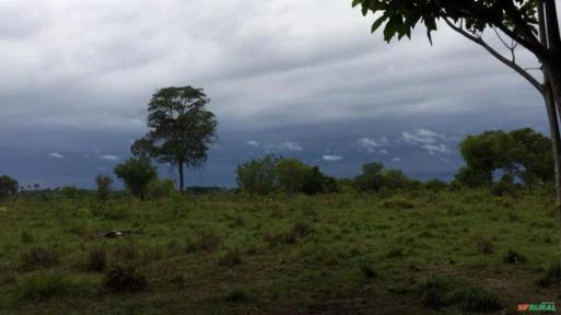 Fazenda à venda as margens do rio Araguaia sul do Pará