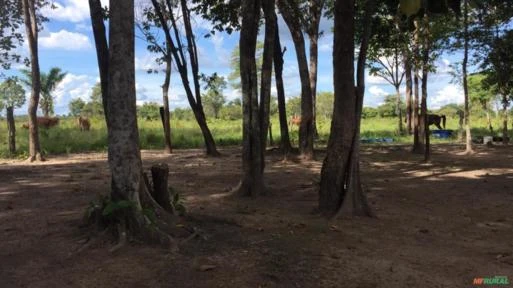 Fazenda à venda as margens do rio Araguaia sul do Pará