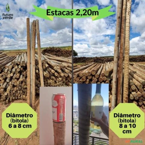 Estacas de eucalipto tratado Imagem Estacas de eucalipto tratado