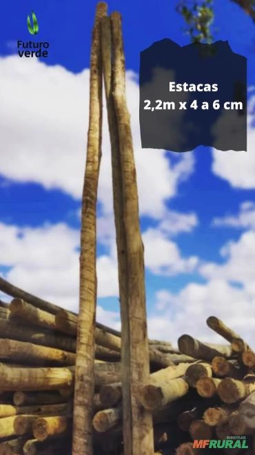 Imagem Estacas de eucalipto tratado Imagem Estacas de eucalipto tratado